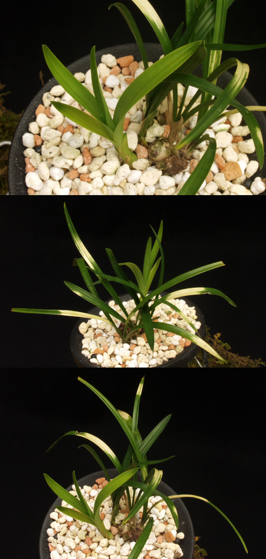 ������ ū������ �� �� �ֽ��ϴ�.