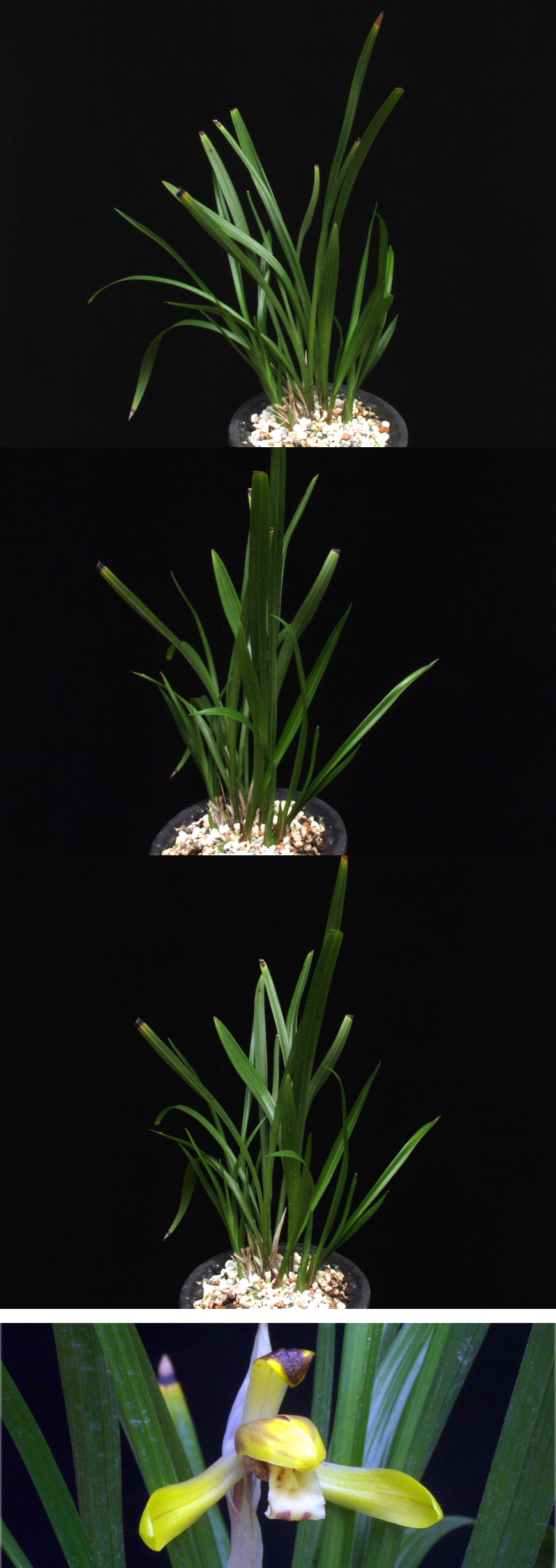 ������ ū������ �� �� �ֽ��ϴ�.