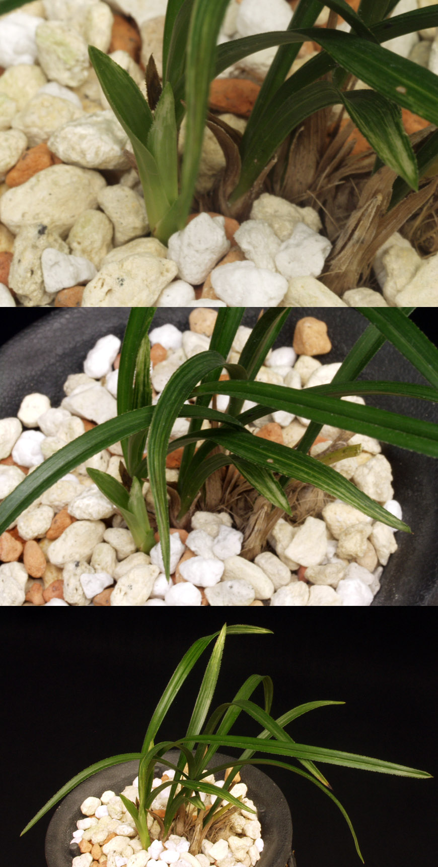 ������ ū������ �� �� �ֽ��ϴ�.