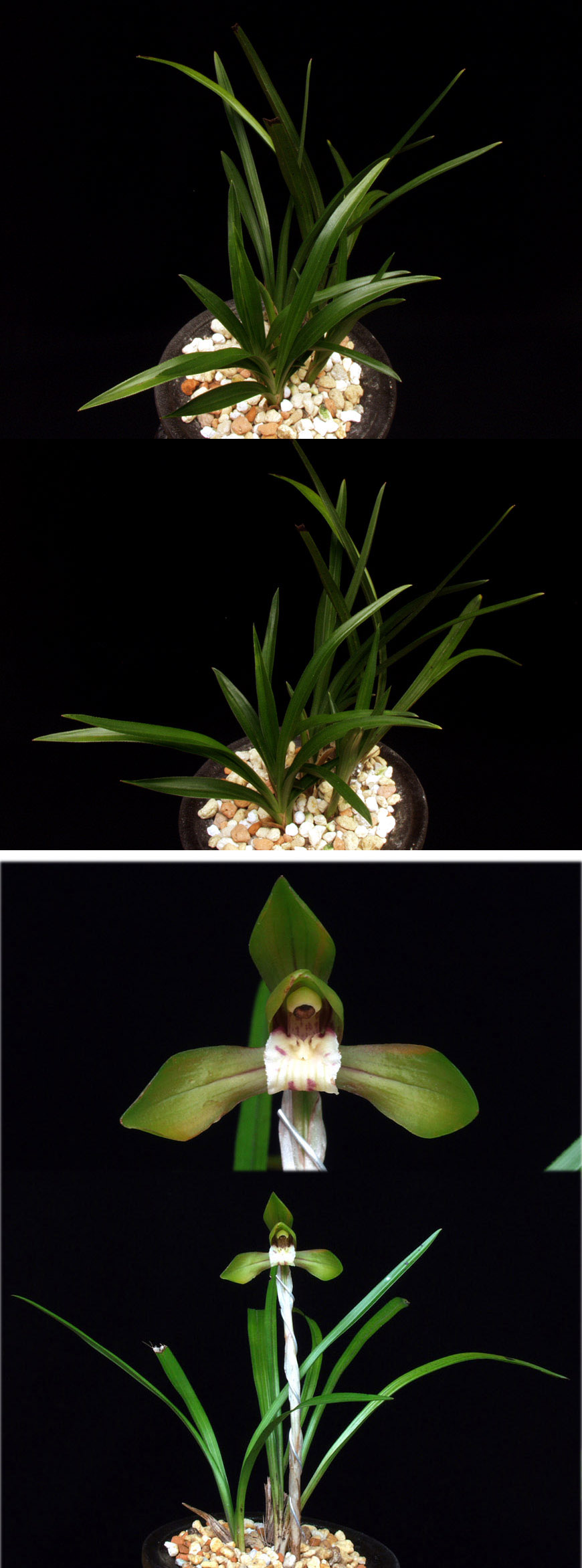 ������ ū������ �� �� �ֽ��ϴ�.