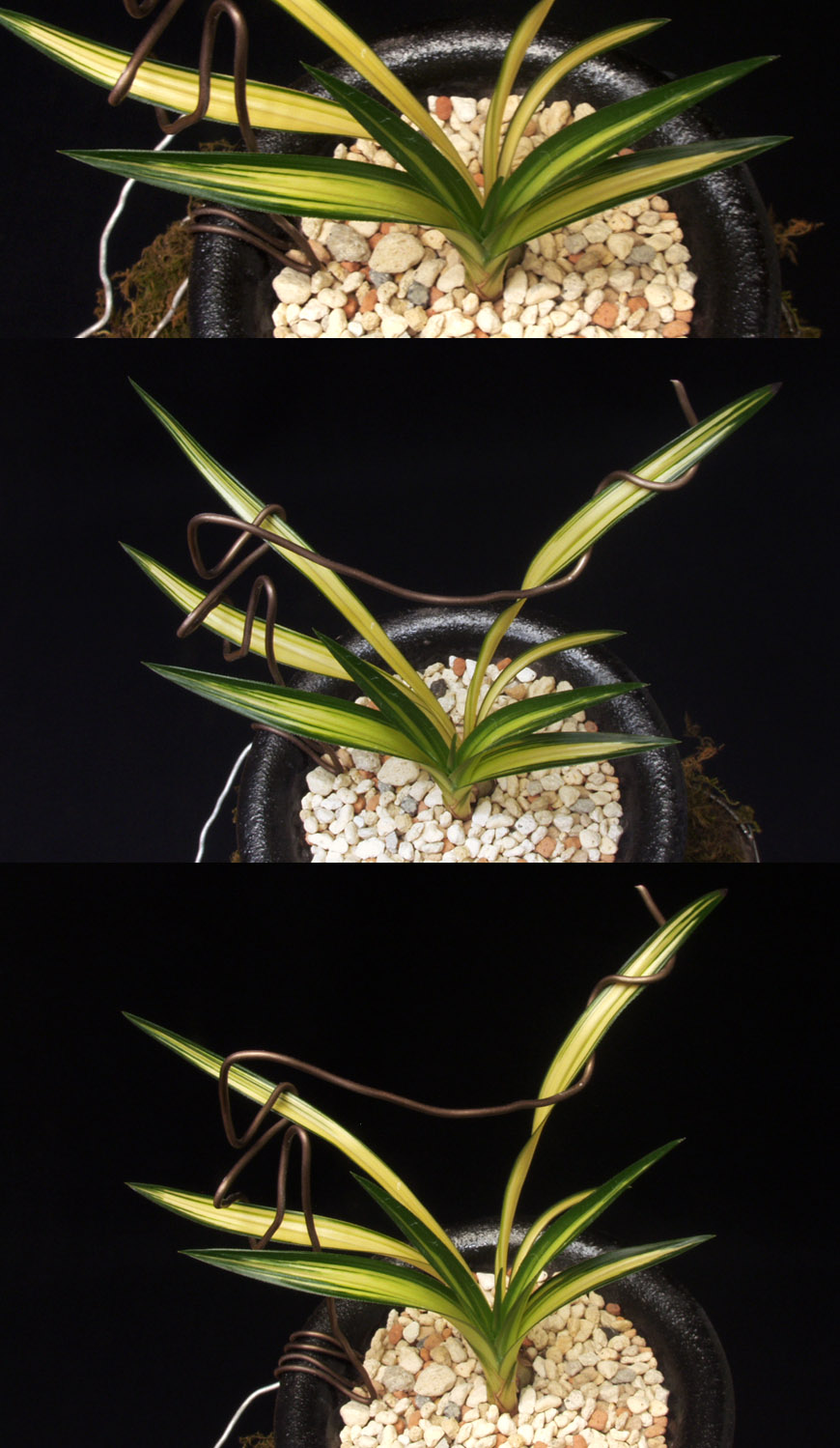 ������ ū������ �� �� �ֽ��ϴ�.