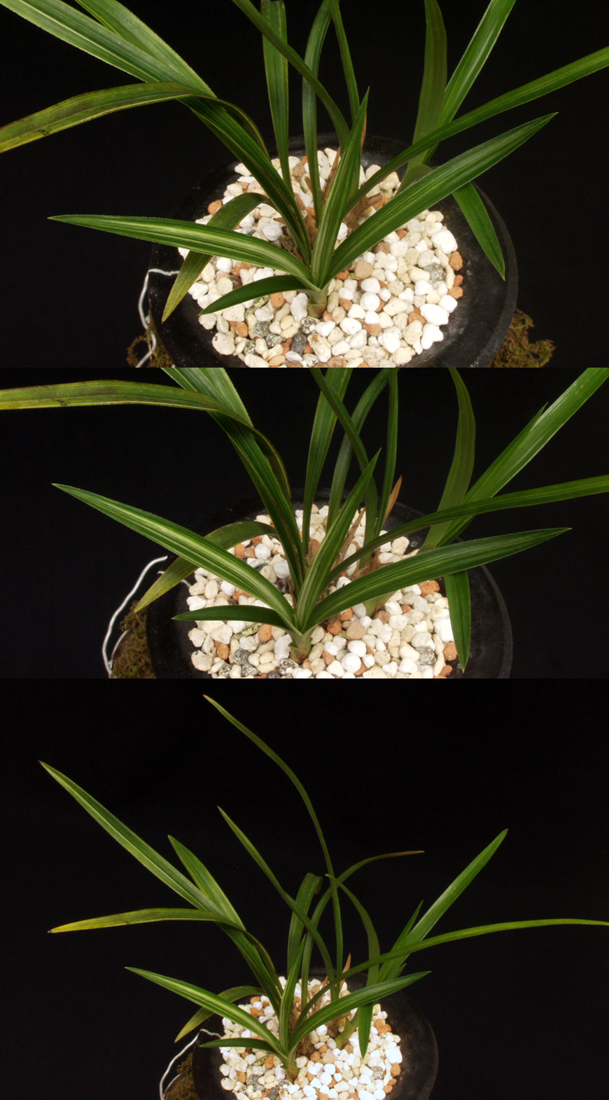 ������ ū������ �� �� �ֽ��ϴ�.