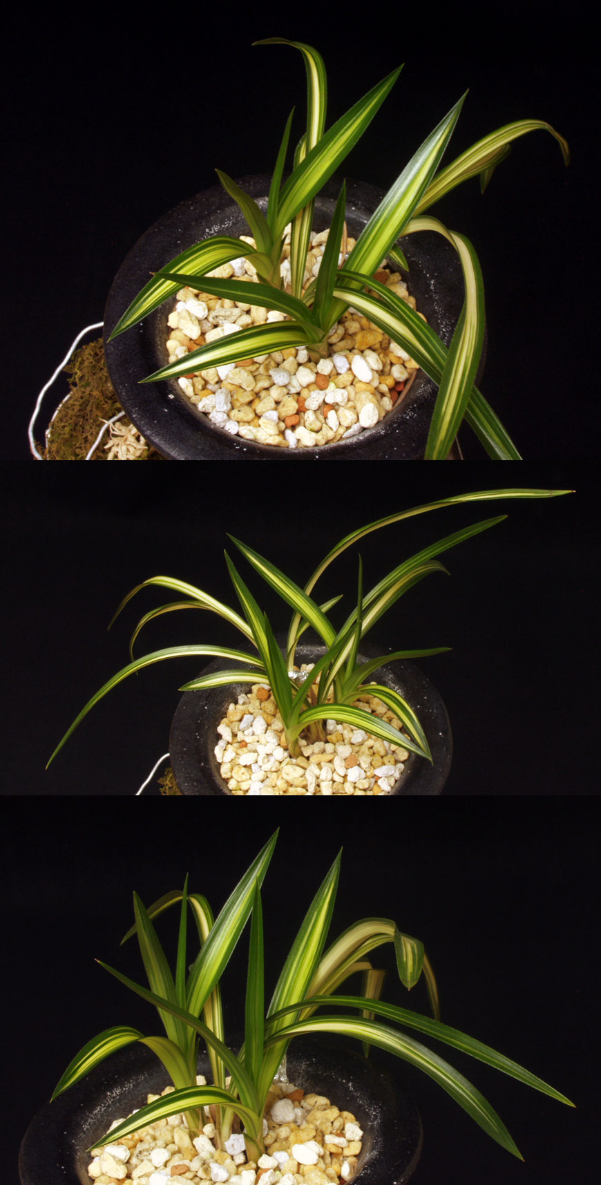 ������ ū������ �� �� �ֽ��ϴ�.