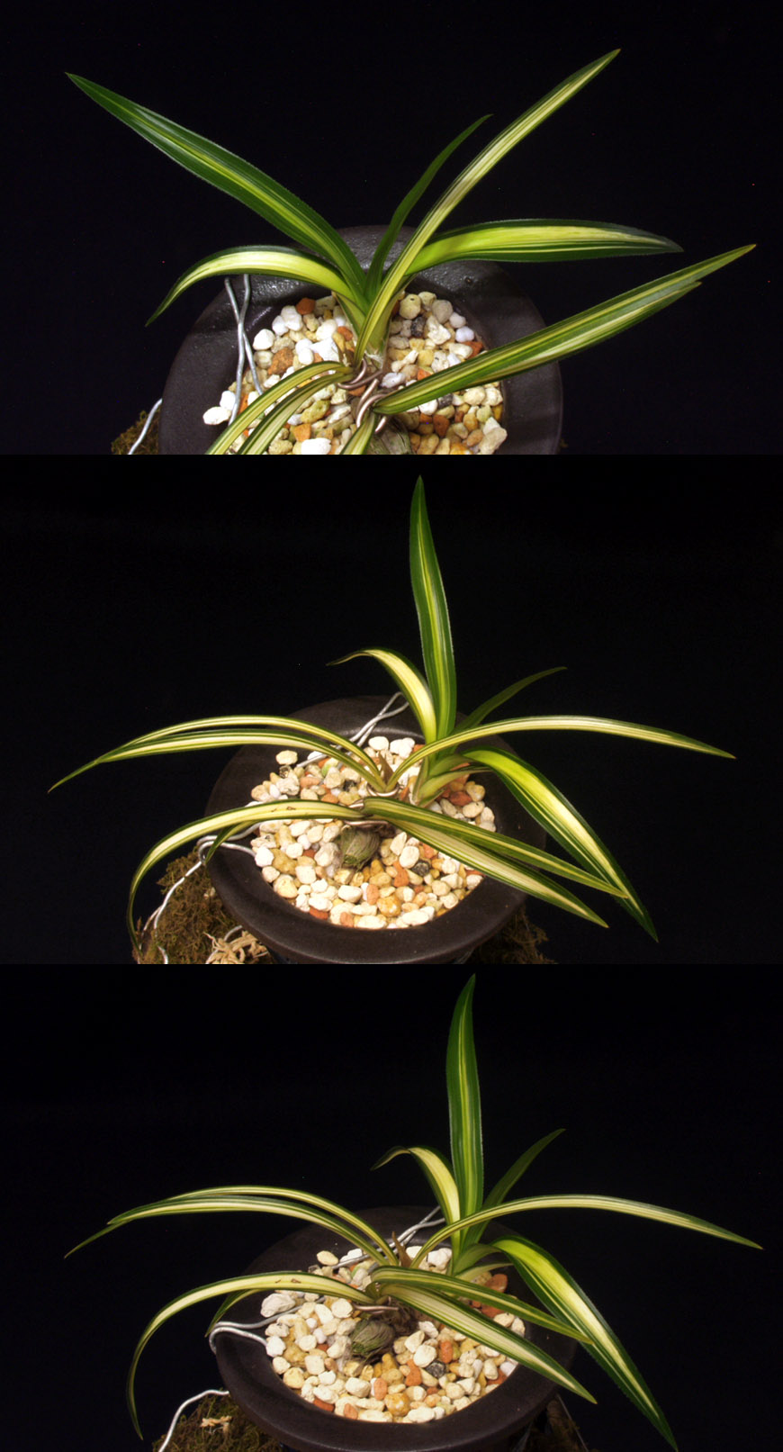 ������ ū������ �� �� �ֽ��ϴ�.