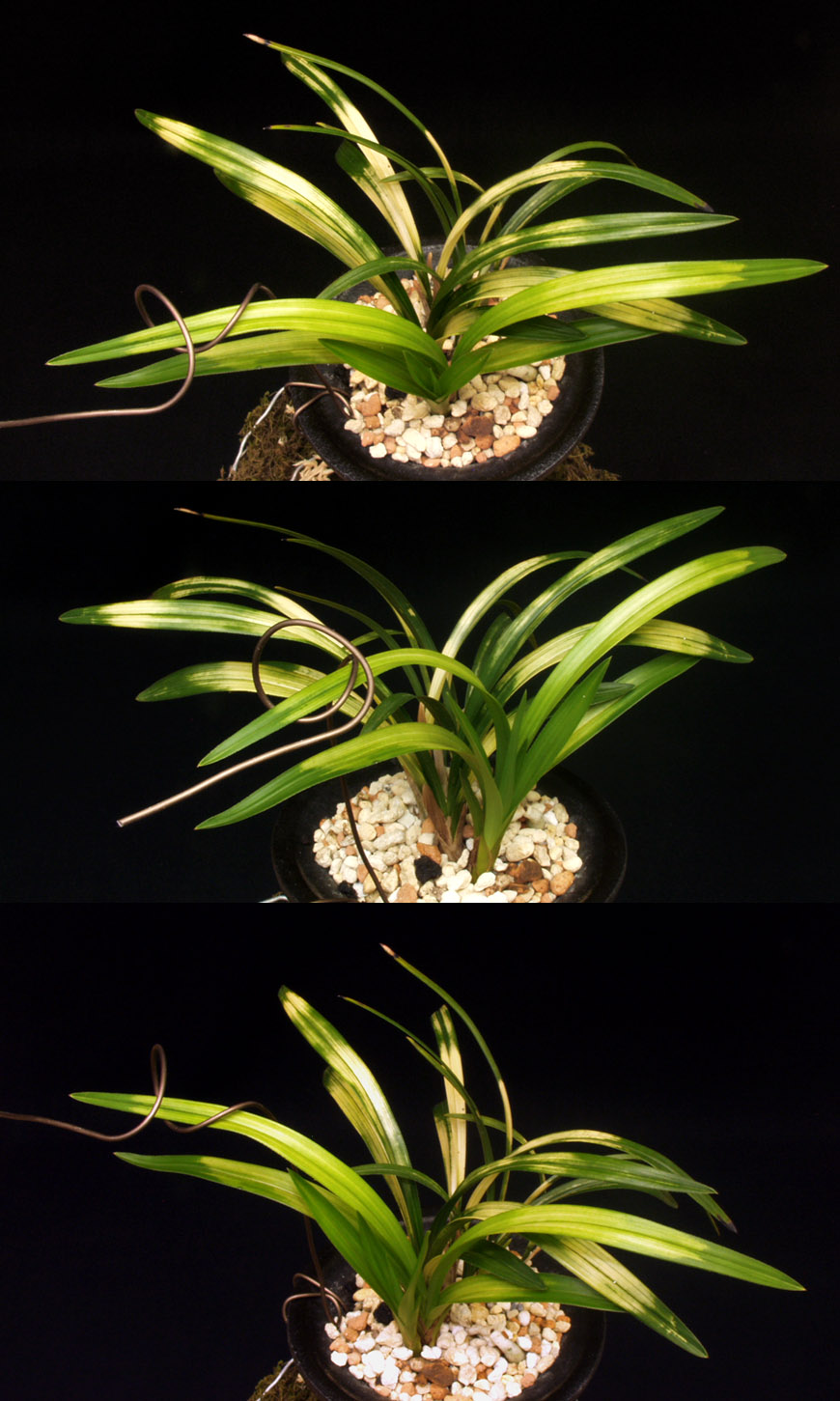 ������ ū������ �� �� �ֽ��ϴ�.