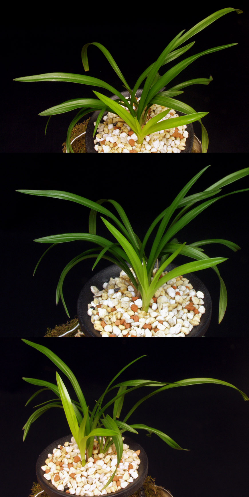 ������ ū������ �� �� �ֽ��ϴ�.