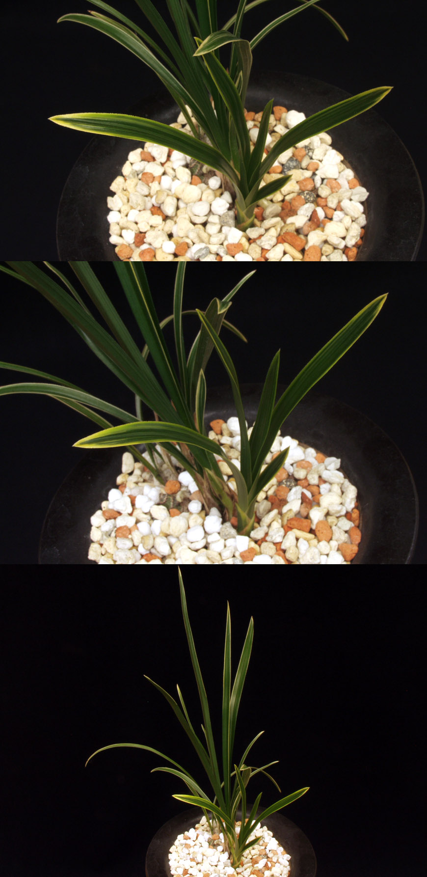 ������ ū������ �� �� �ֽ��ϴ�.