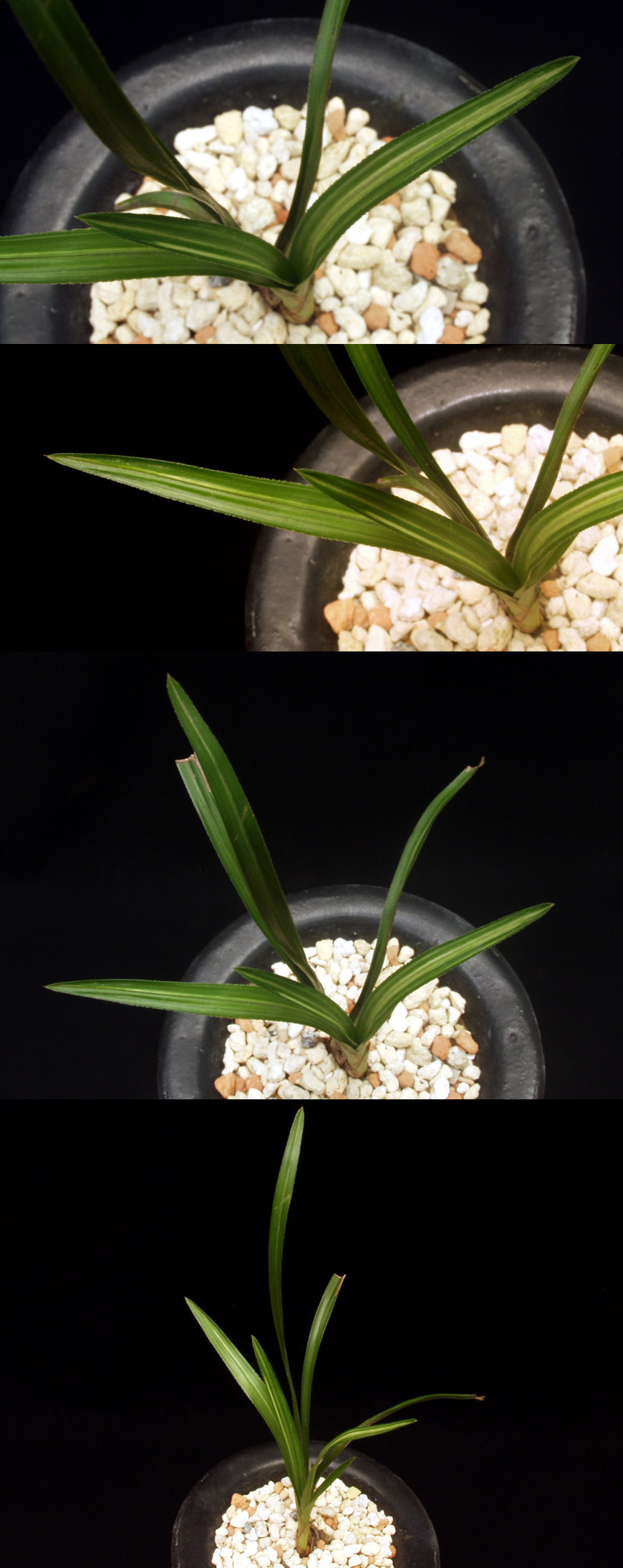 ������ ū������ �� �� �ֽ��ϴ�.