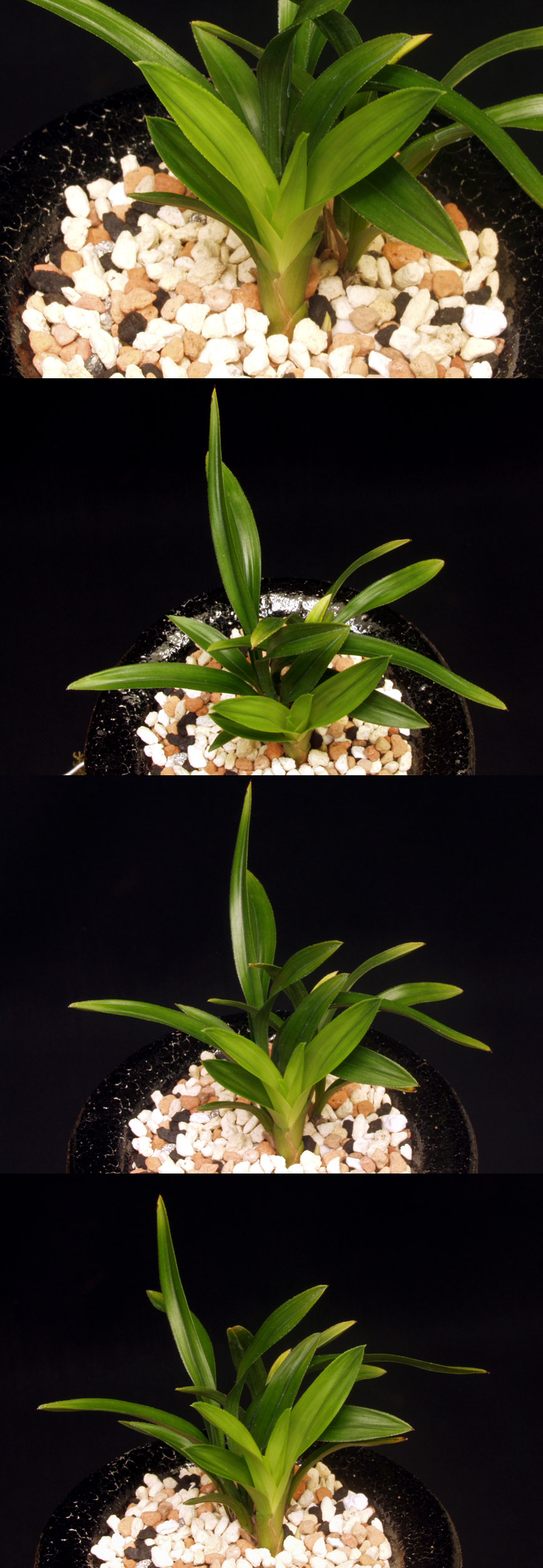 ������ ū������ �� �� �ֽ��ϴ�.