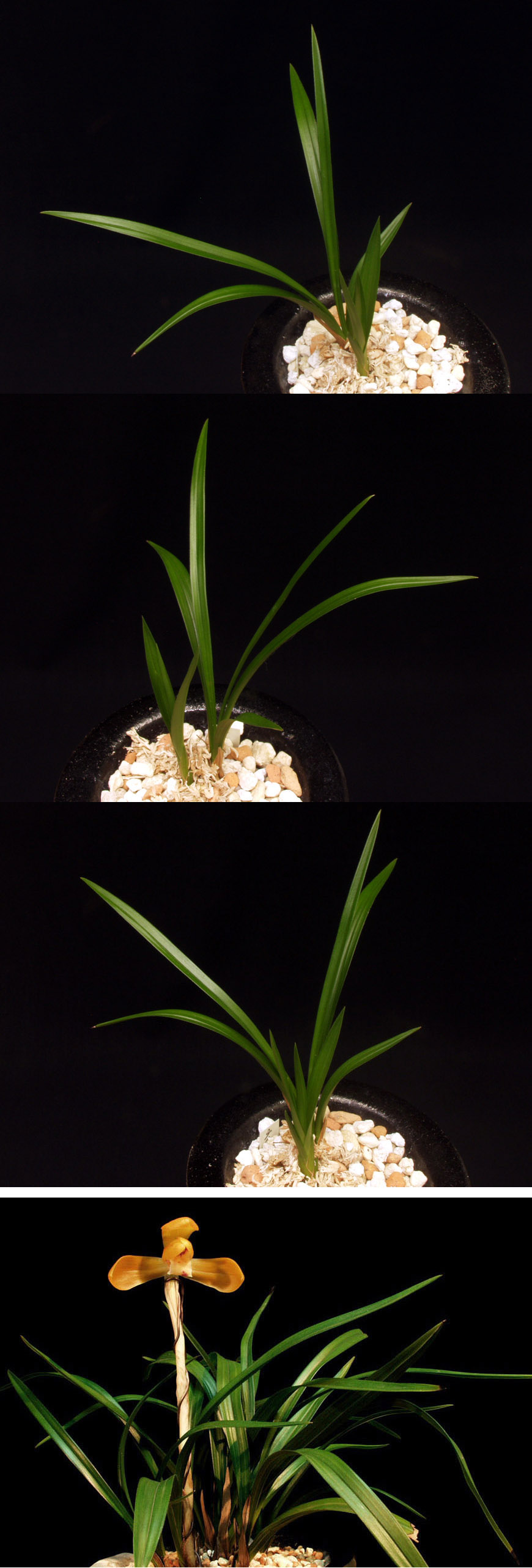 ������ ū������ �� �� �ֽ��ϴ�.