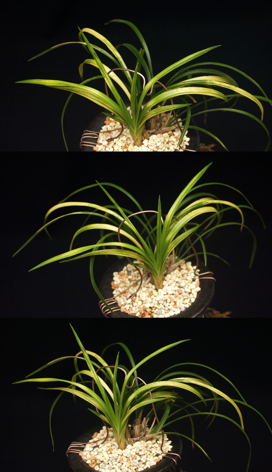 ������ ū������ �� �� �ֽ��ϴ�.