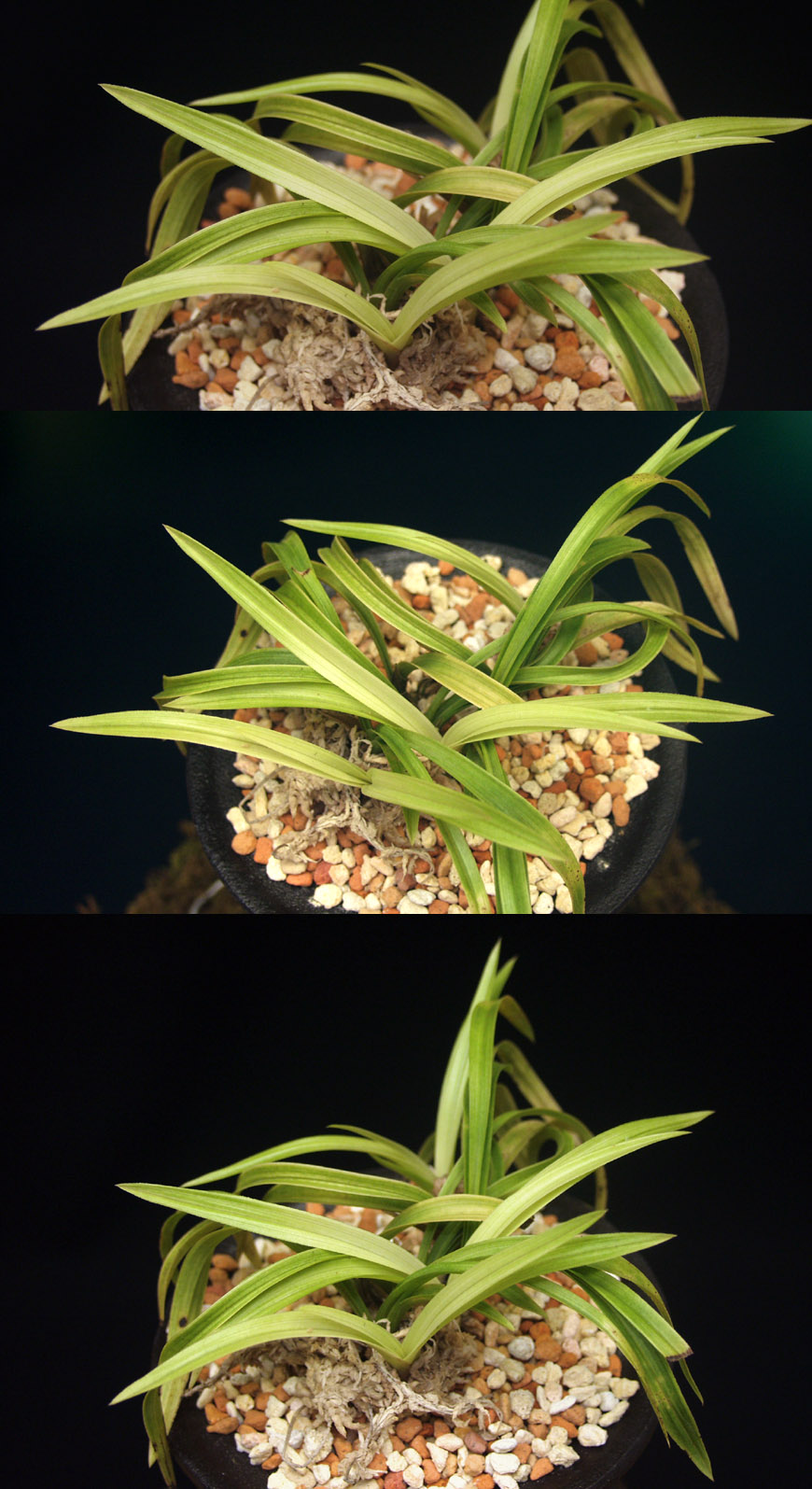 ������ ū������ �� �� �ֽ��ϴ�.