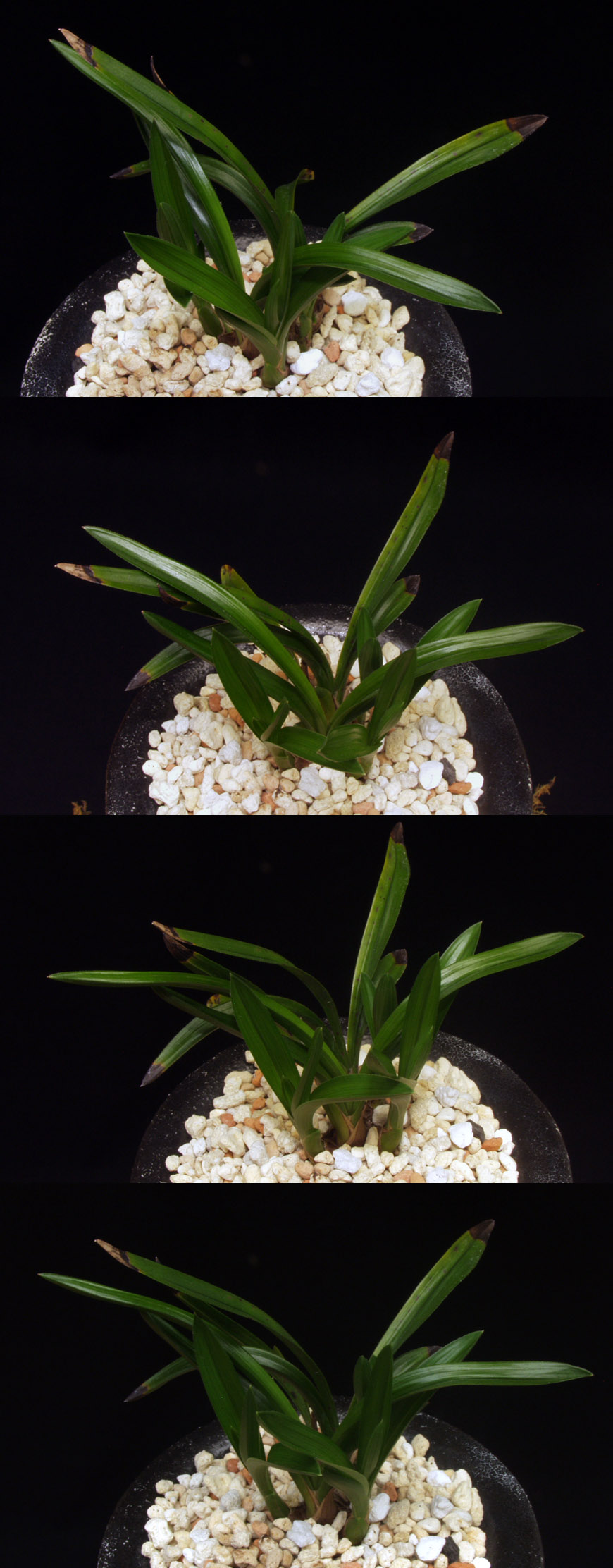 ������ ū������ �� �� �ֽ��ϴ�.