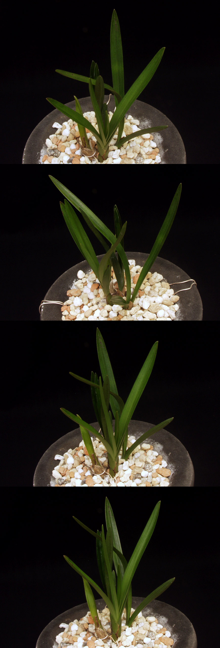 ������ ū������ �� �� �ֽ��ϴ�.