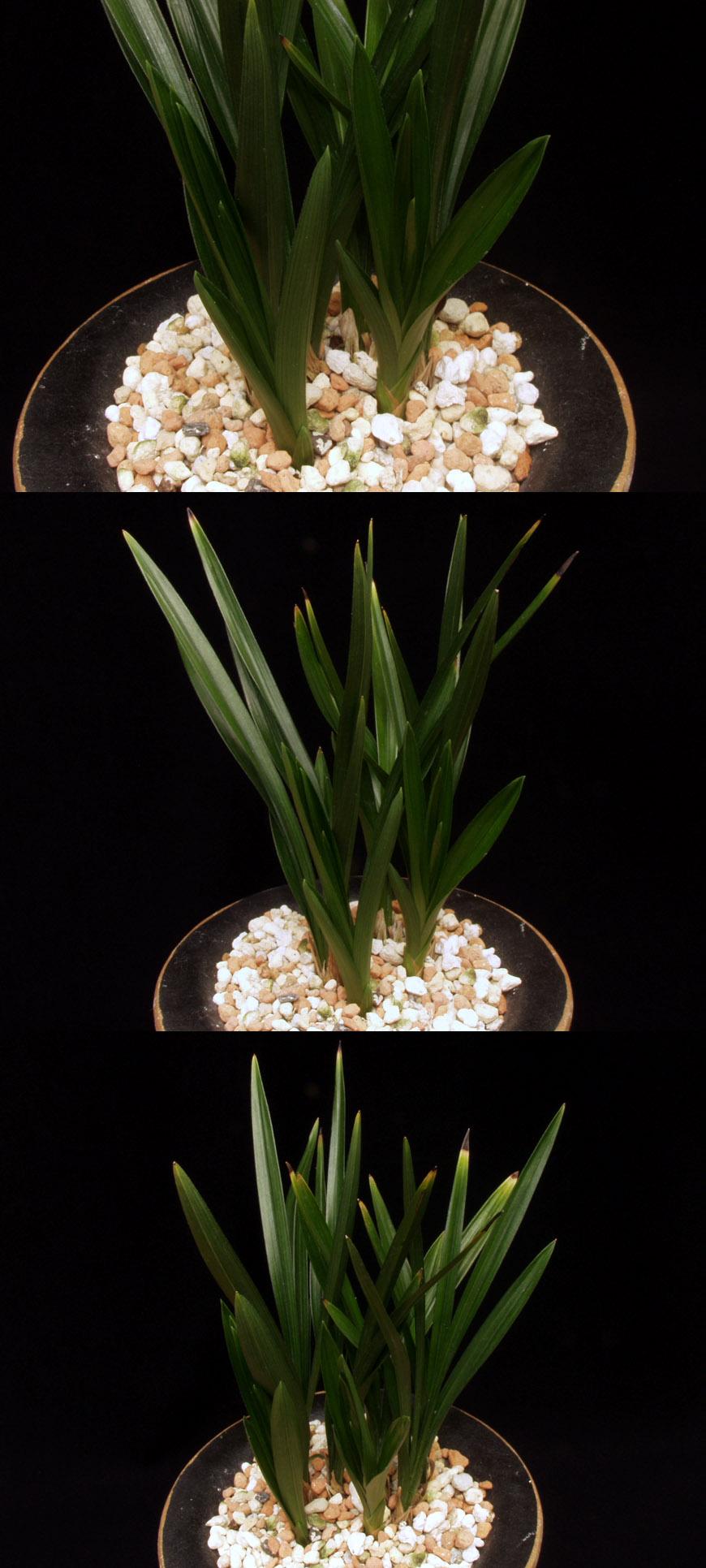 ������ ū������ �� �� �ֽ��ϴ�.