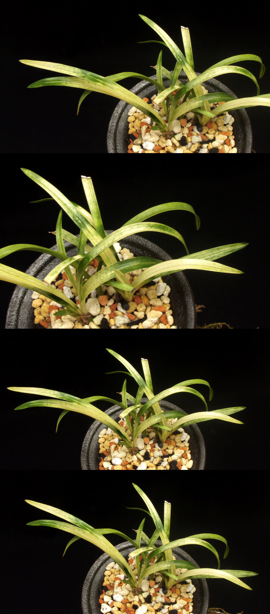 ������ ū������ �� �� �ֽ��ϴ�.