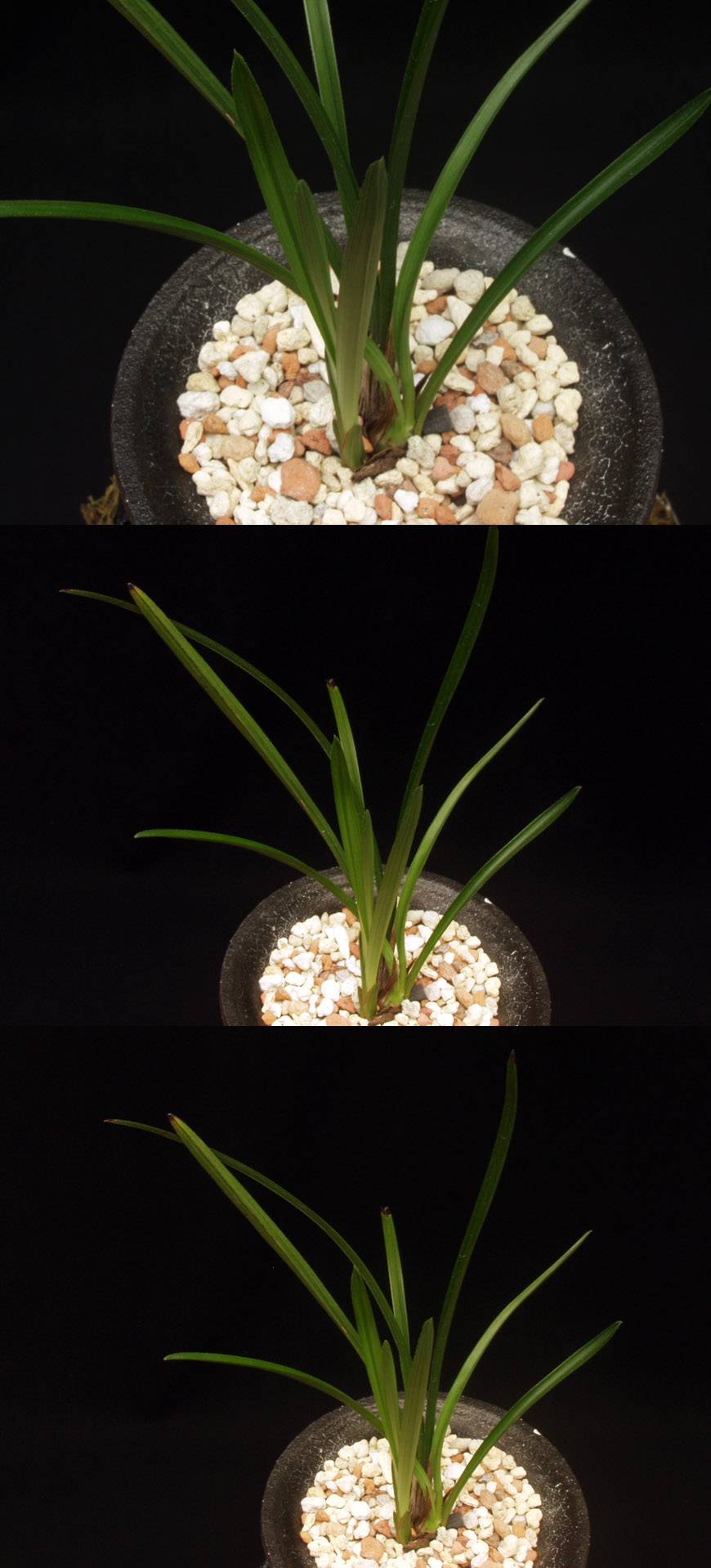 ������ ū������ �� �� �ֽ��ϴ�.