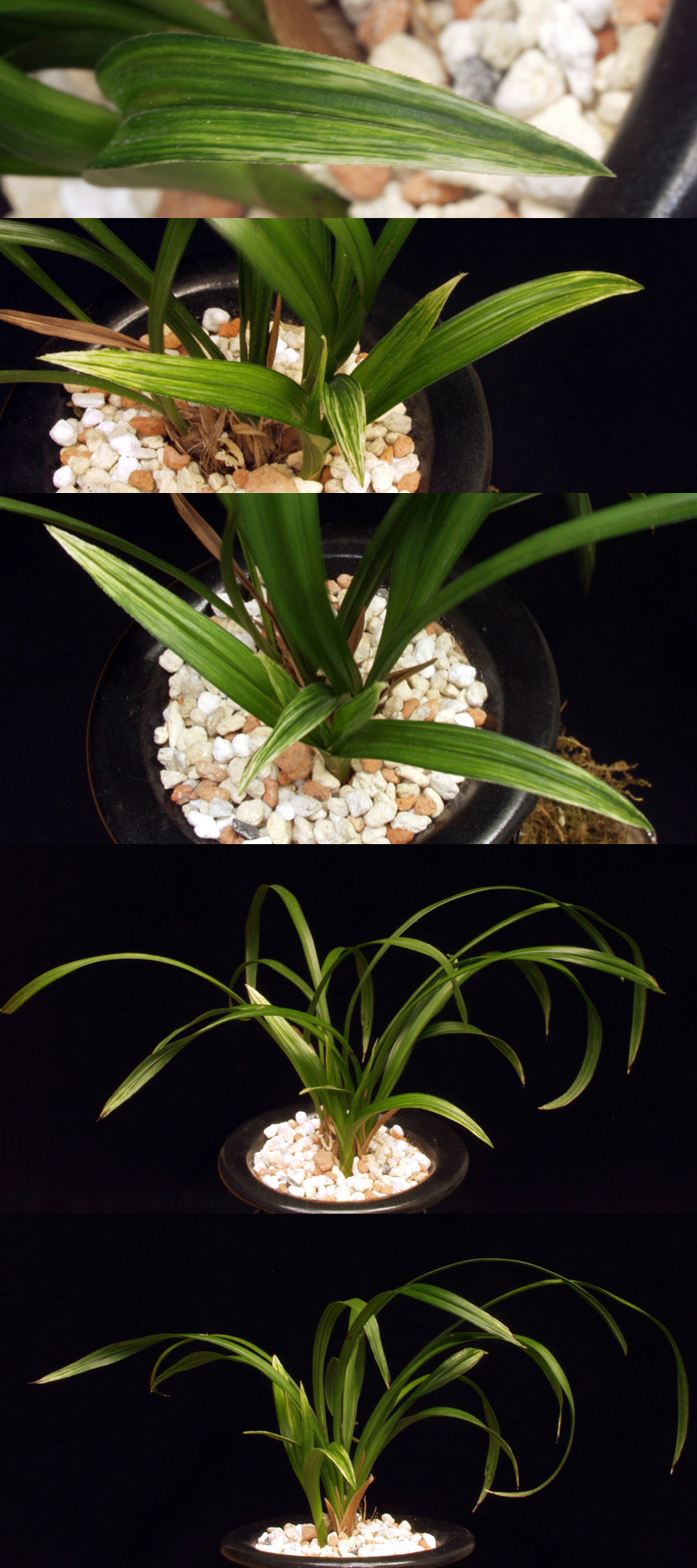 ������ ū������ �� �� �ֽ��ϴ�.