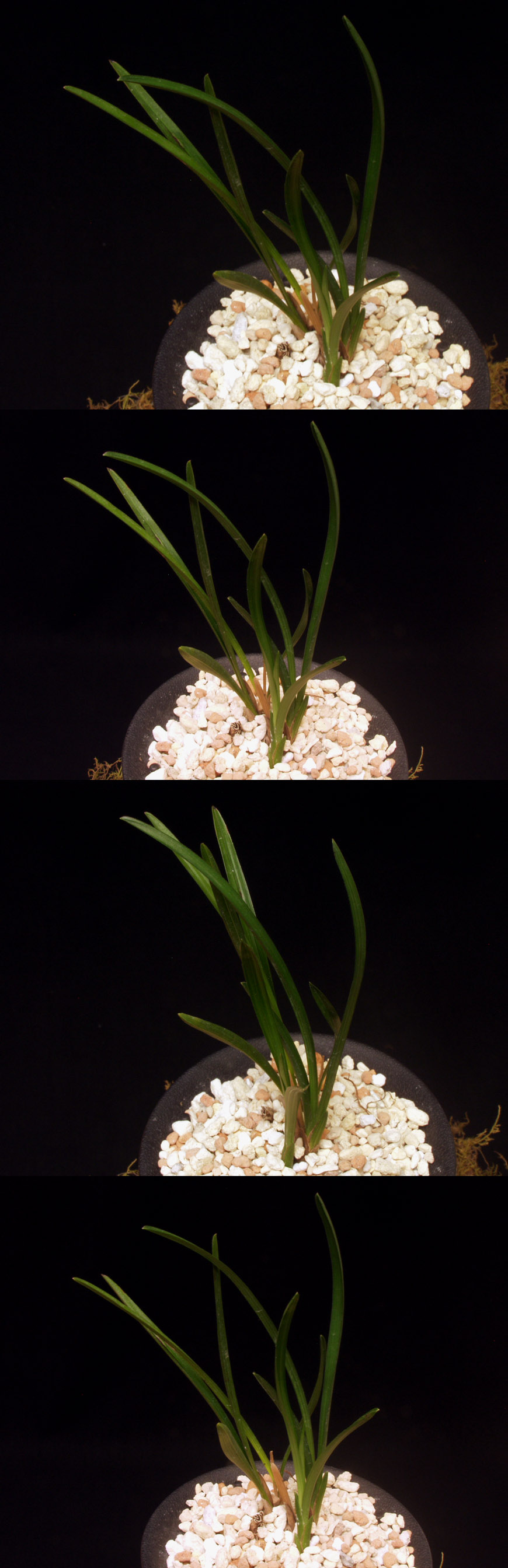 ������ ū������ �� �� �ֽ��ϴ�.