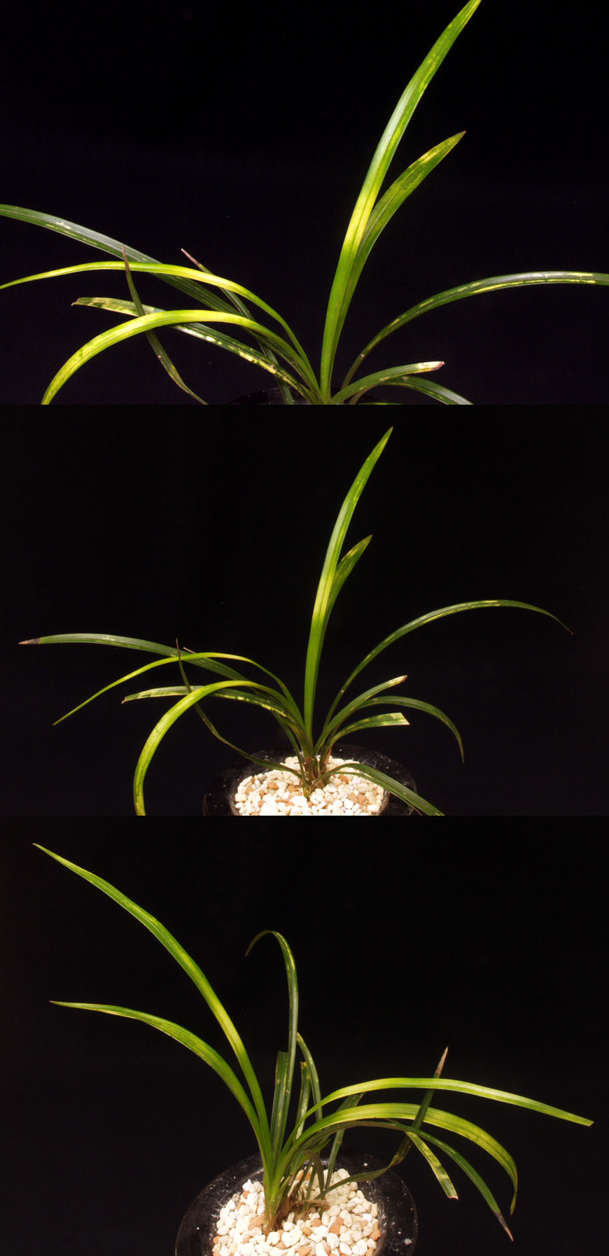 ������ ū������ �� �� �ֽ��ϴ�.