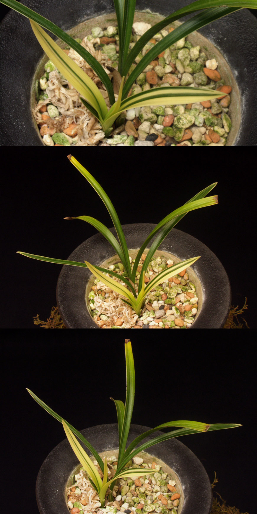 ������ ū������ �� �� �ֽ��ϴ�.