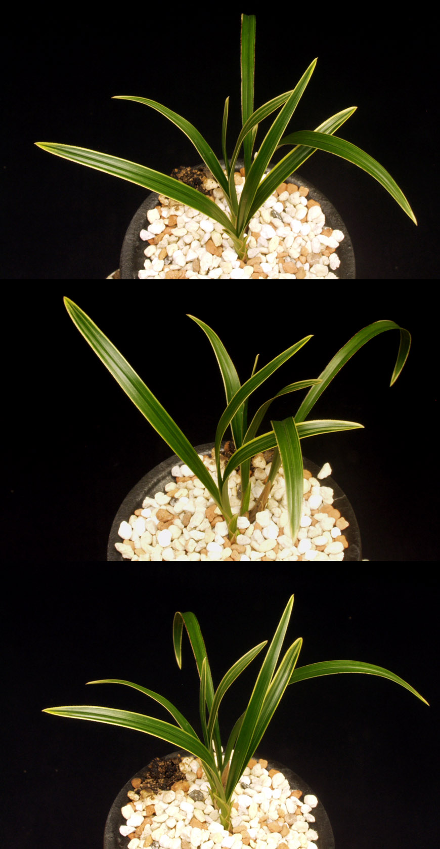 ������ ū������ �� �� �ֽ��ϴ�.