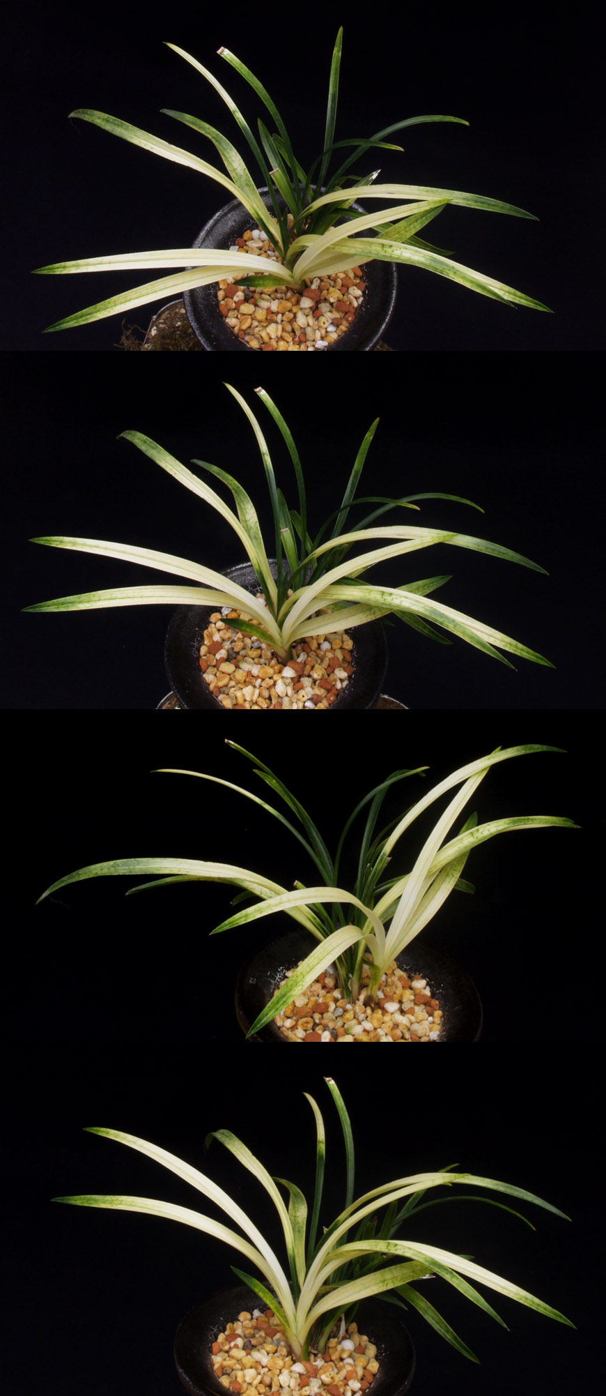 ������ ū������ �� �� �ֽ��ϴ�.