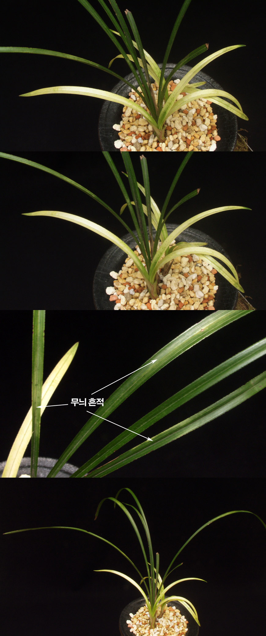 ������ ū������ �� �� �ֽ��ϴ�.