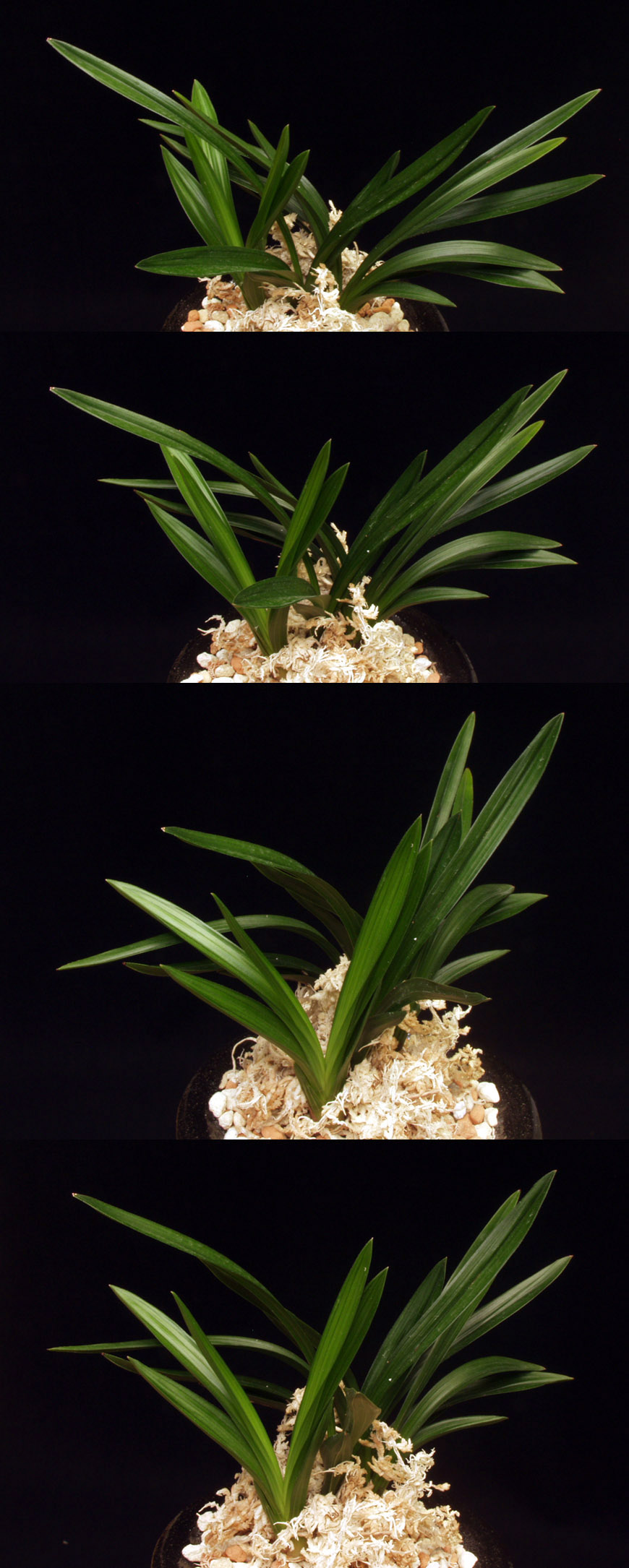 ������ ū������ �� �� �ֽ��ϴ�.