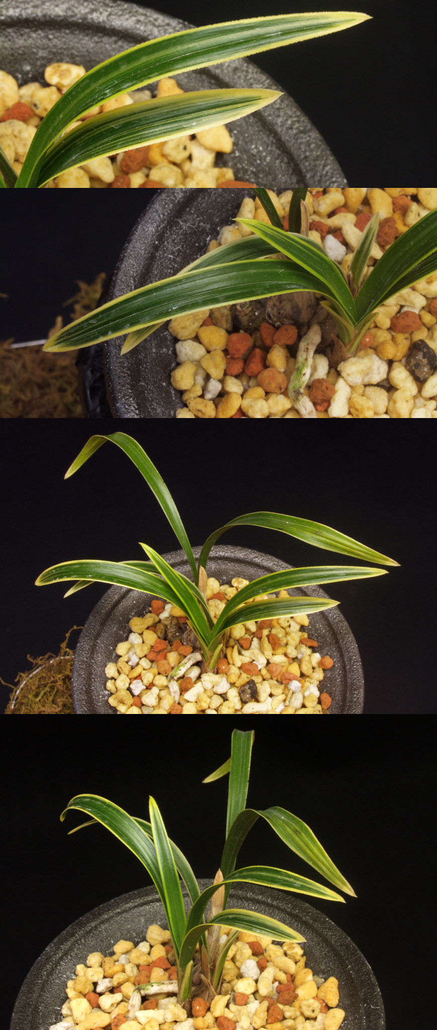 ������ ū������ �� �� �ֽ��ϴ�.