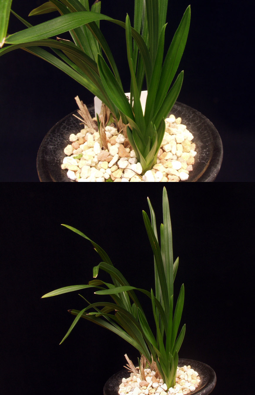 ������ ū������ �� �� �ֽ��ϴ�.