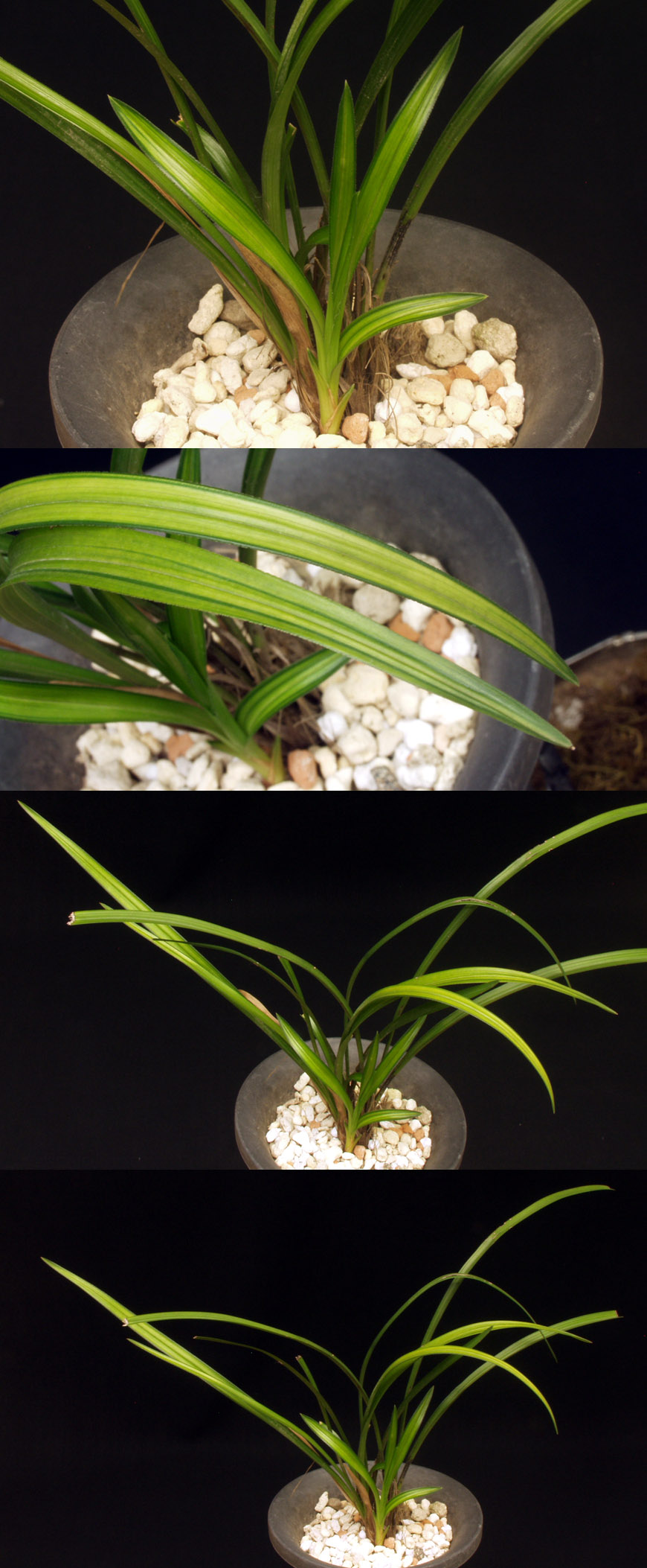 ������ ū������ �� �� �ֽ��ϴ�.