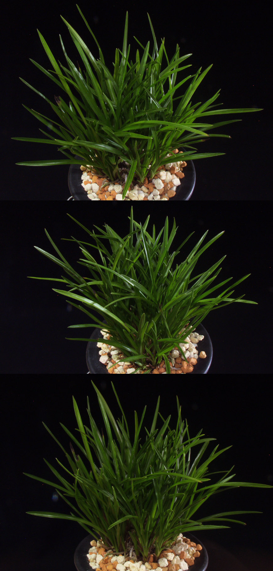 ������ ū������ �� �� �ֽ��ϴ�.