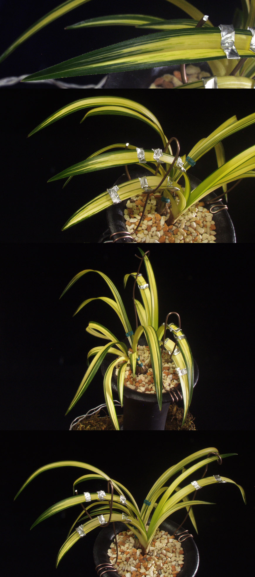 ������ ū������ �� �� �ֽ��ϴ�.