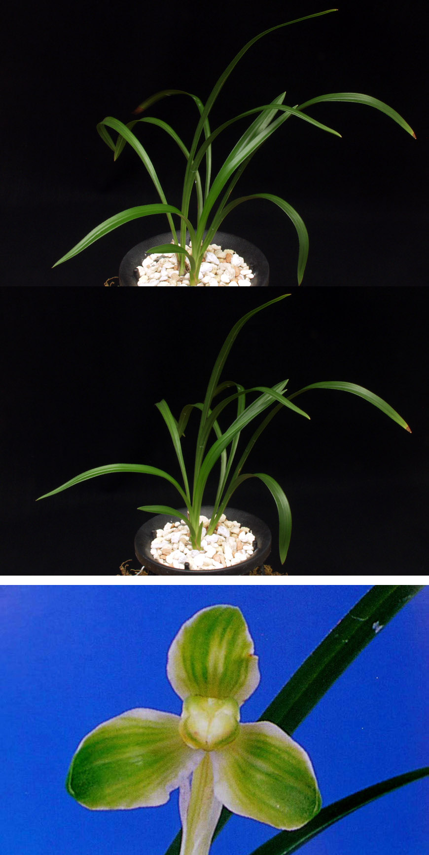 ������ ū������ �� �� �ֽ��ϴ�.