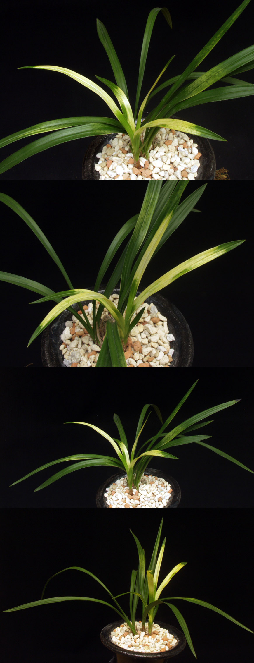 ������ ū������ �� �� �ֽ��ϴ�.