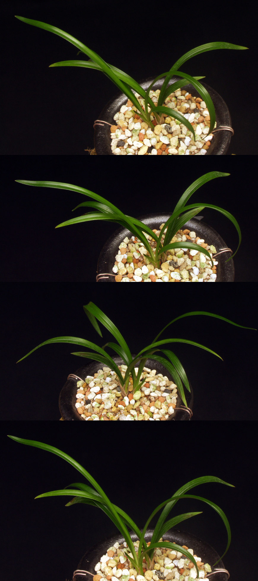 ������ ū������ �� �� �ֽ��ϴ�.