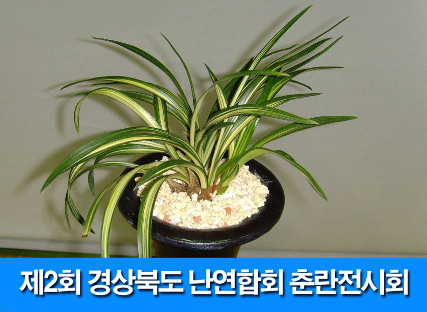 ������ ū������ �� �� �ֽ��ϴ�.