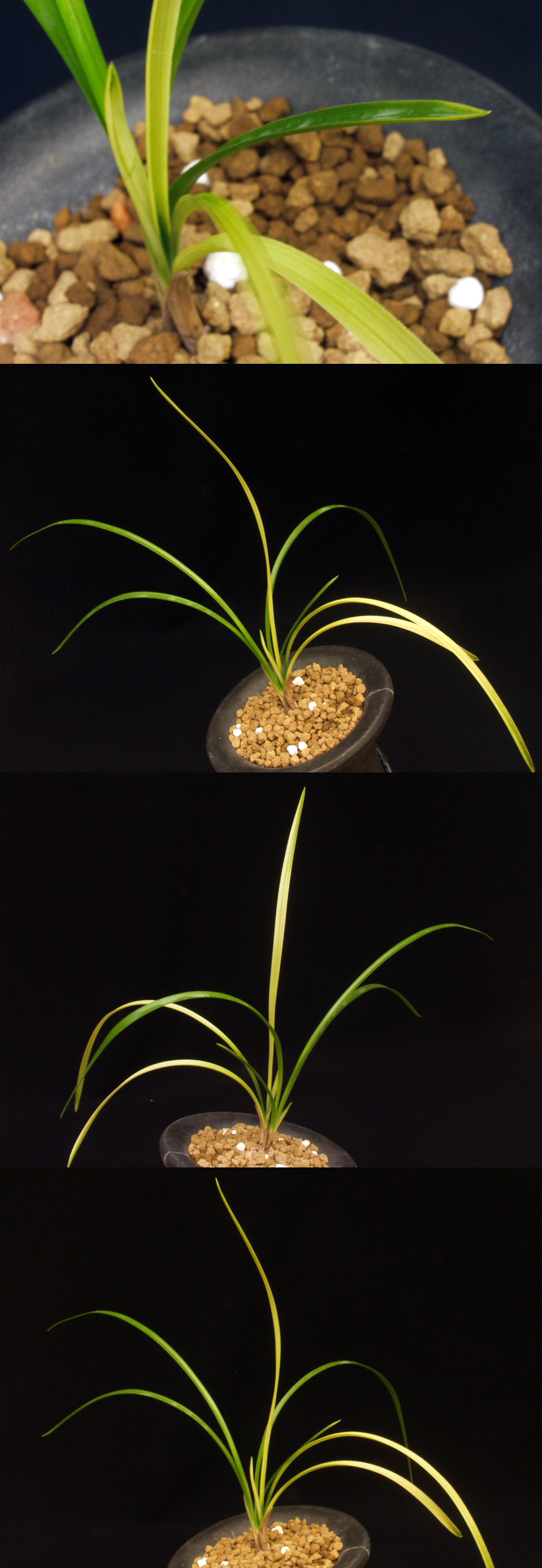 ������ ū������ �� �� �ֽ��ϴ�.