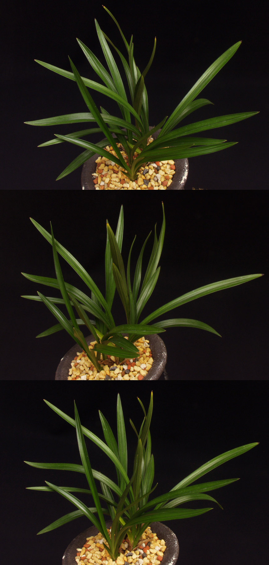 ������ ū������ �� �� �ֽ��ϴ�.