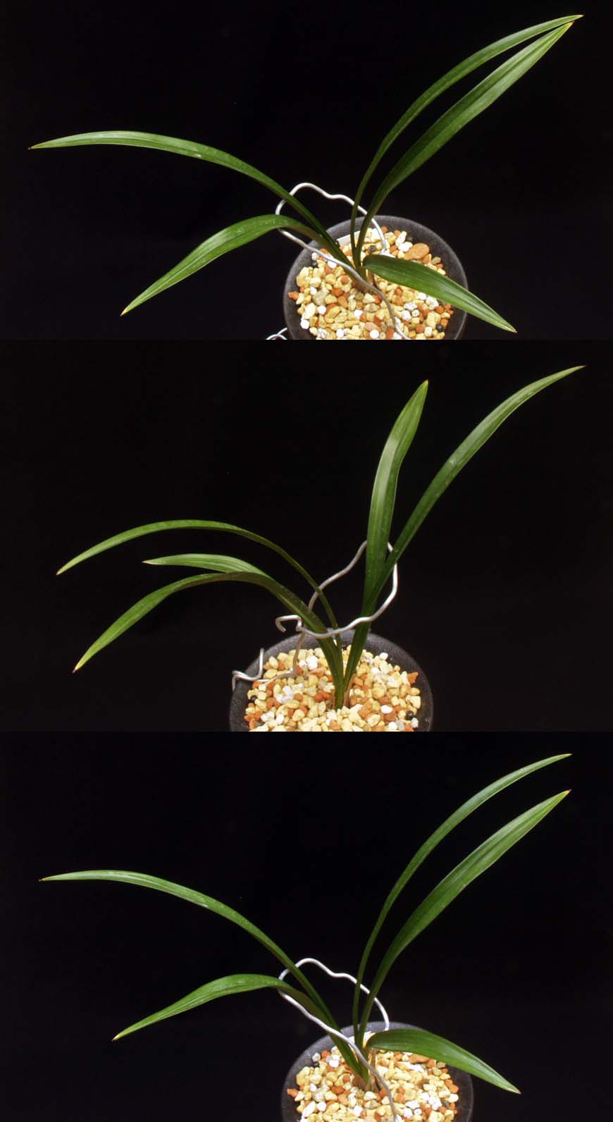 ������ ū������ �� �� �ֽ��ϴ�.