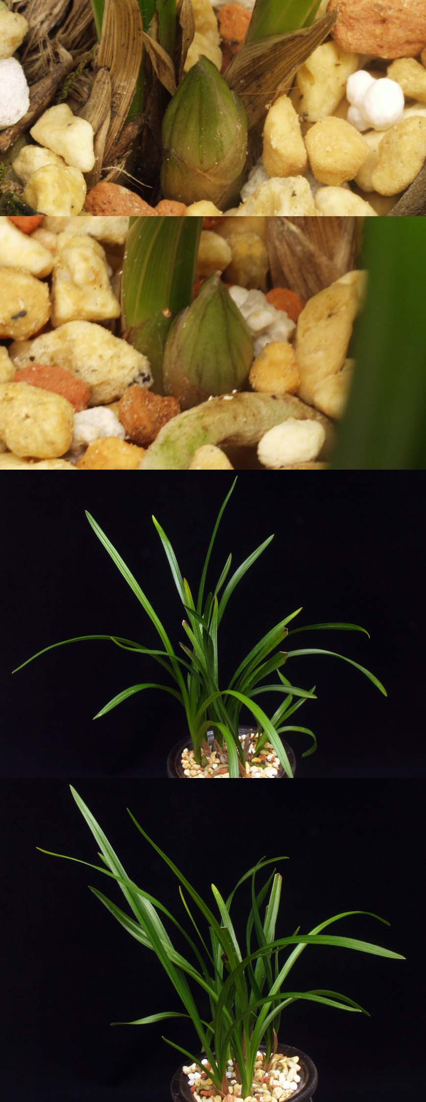 ������ ū������ �� �� �ֽ��ϴ�.