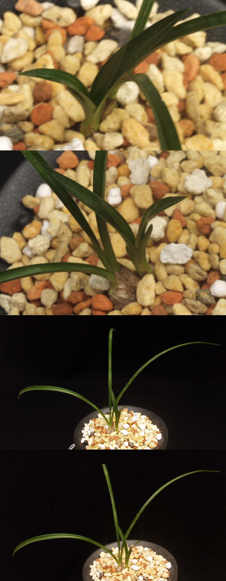 ������ ū������ �� �� �ֽ��ϴ�.