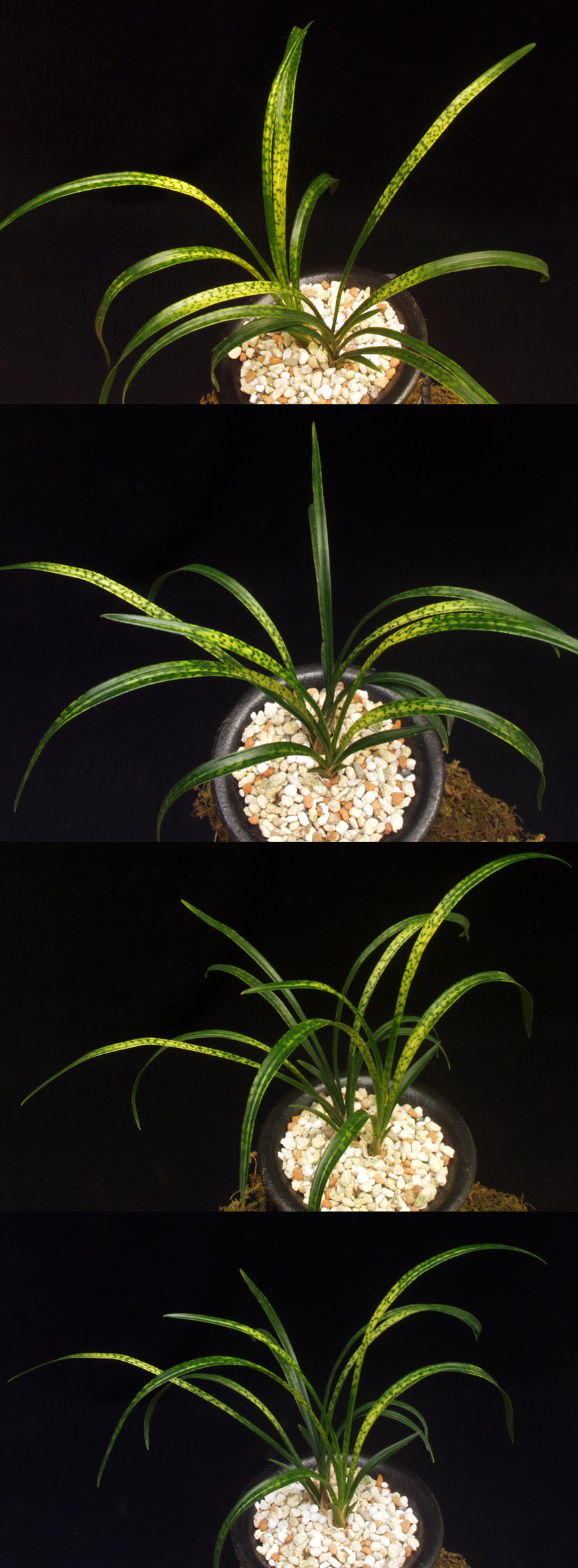 ������ ū������ �� �� �ֽ��ϴ�.