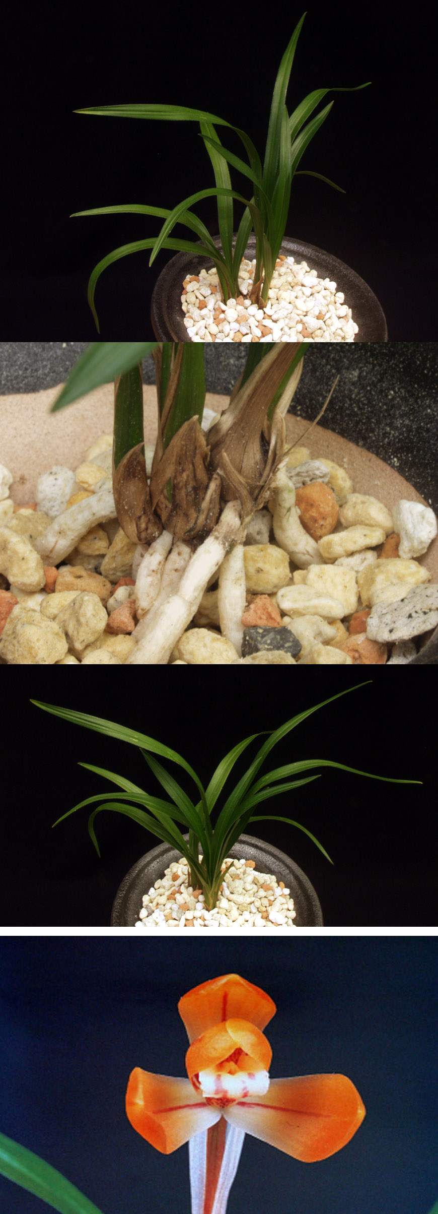 ������ ū������ �� �� �ֽ��ϴ�.