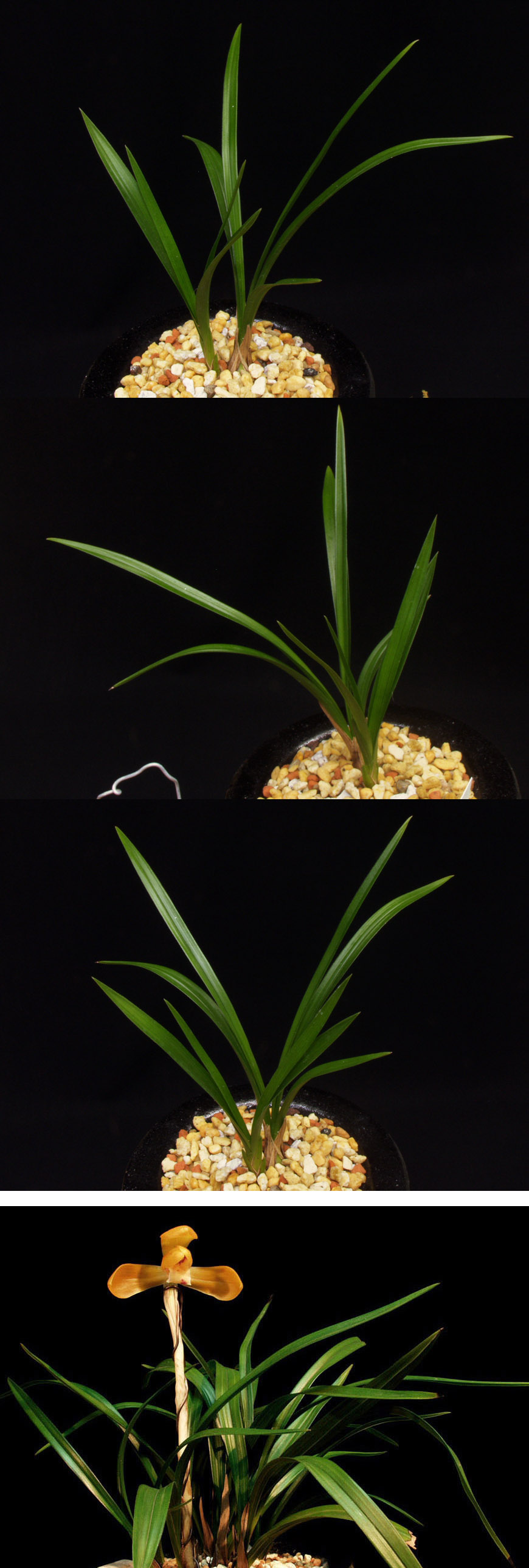 ������ ū������ �� �� �ֽ��ϴ�.