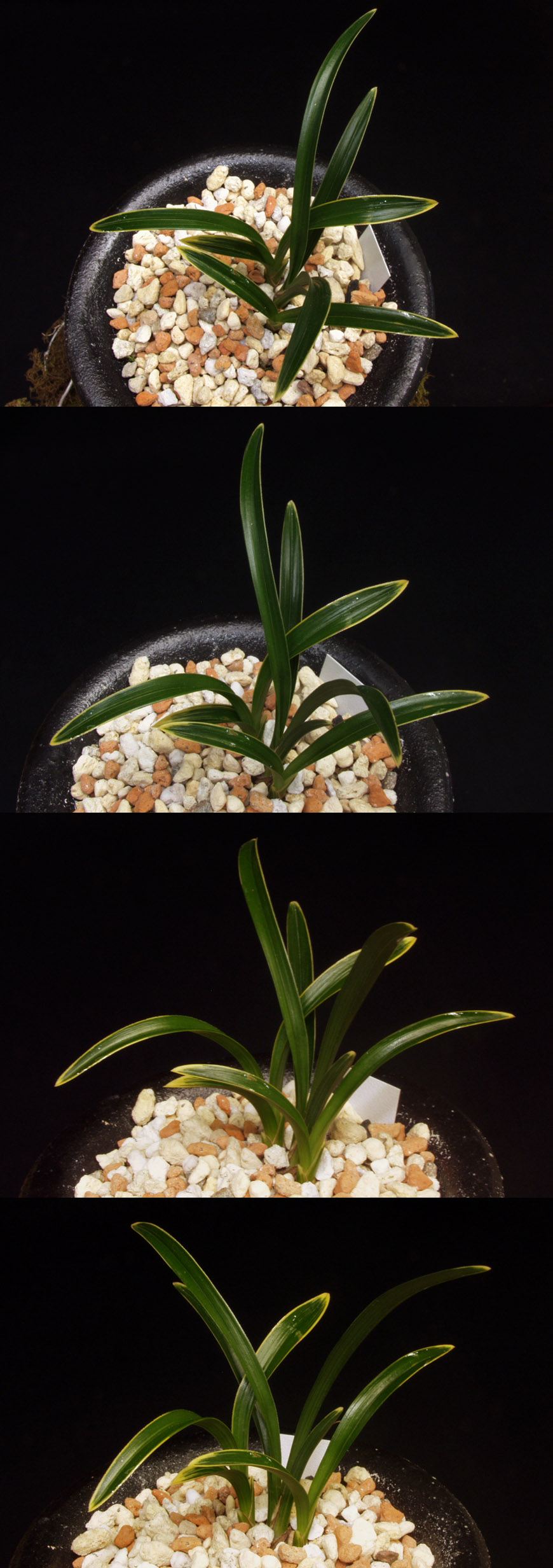 ������ ū������ �� �� �ֽ��ϴ�.