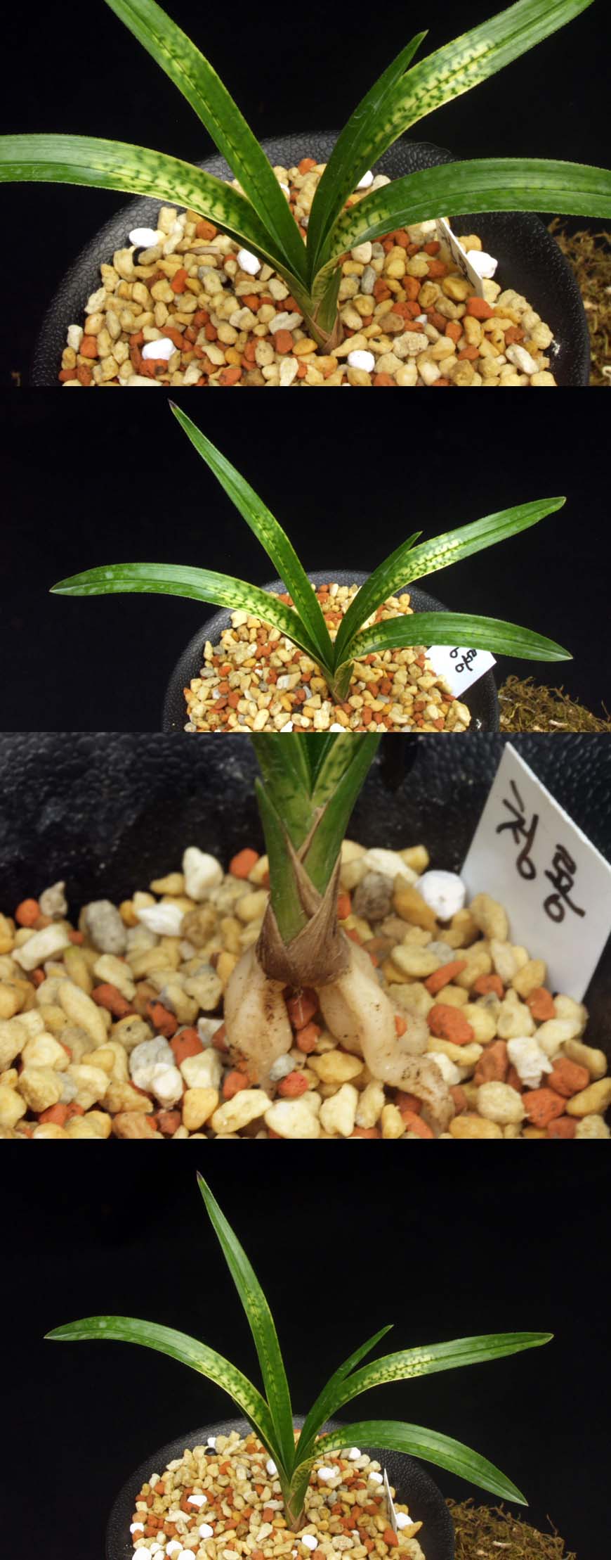 ������ ū������ �� �� �ֽ��ϴ�.