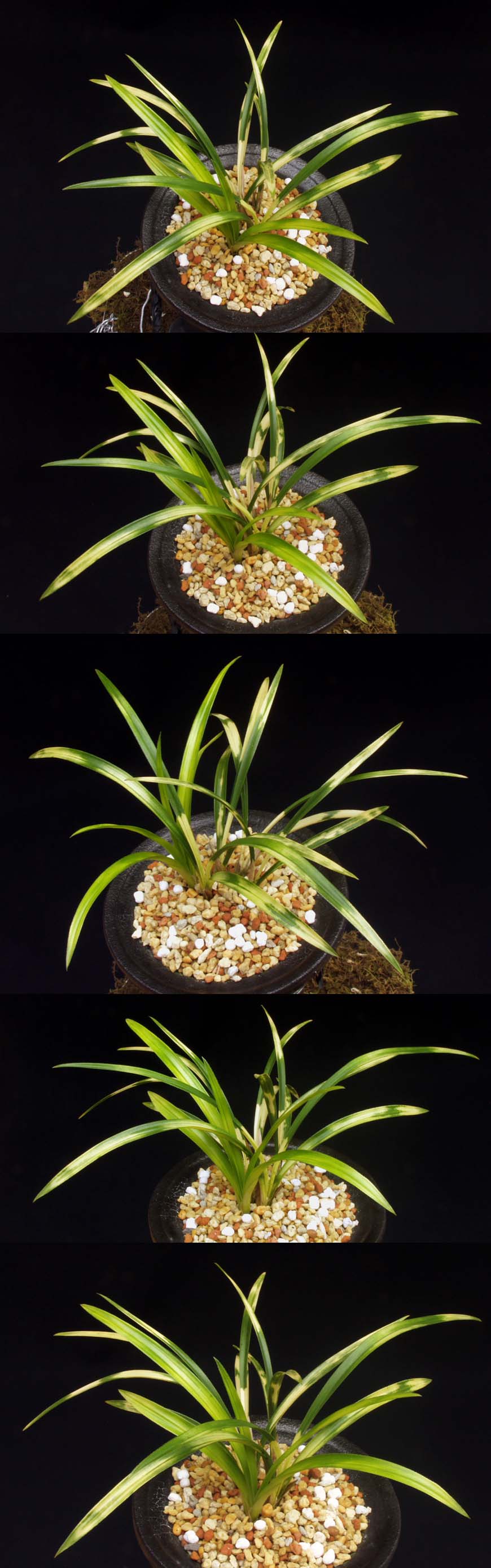 ������ ū������ �� �� �ֽ��ϴ�.