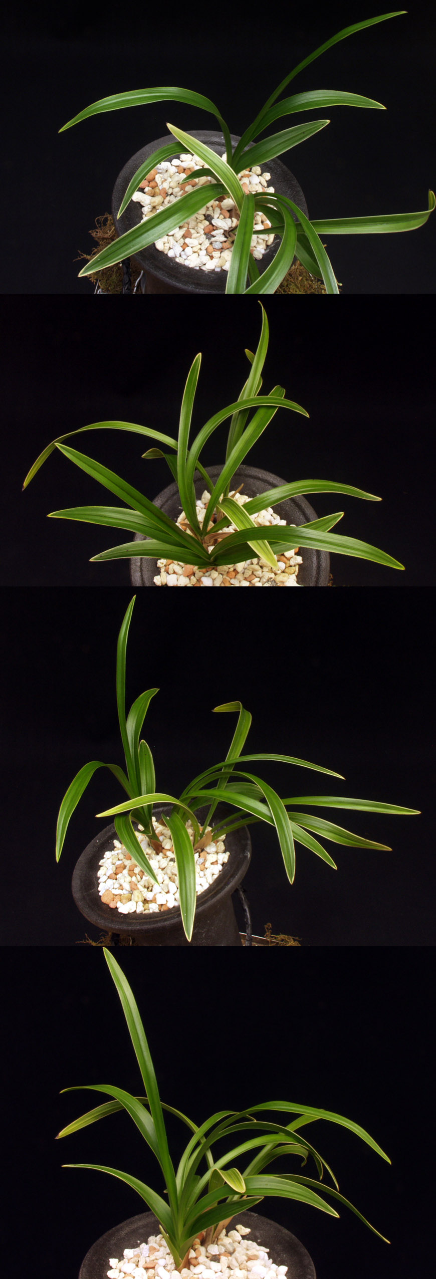 ������ ū������ �� �� �ֽ��ϴ�.